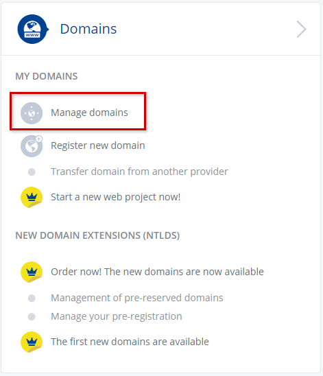 1and1 Domains Section Manage