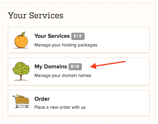 A Small Orange Manage Domains Section