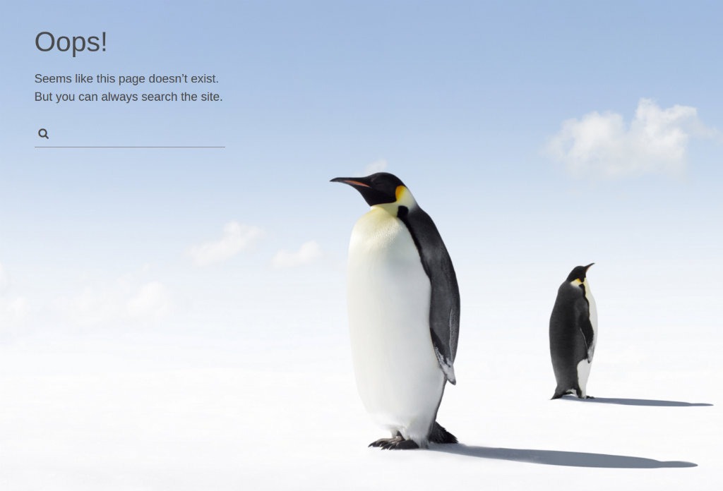 Linux 404 Page