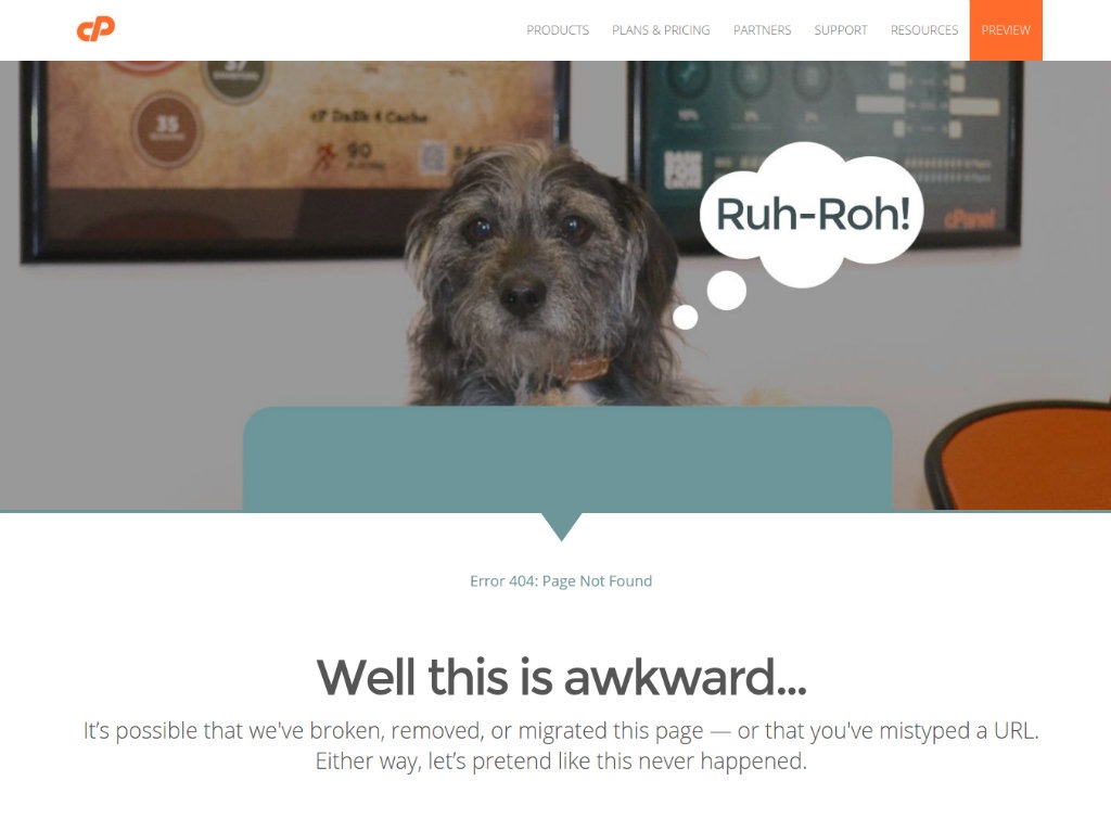 cPanel 404 Page